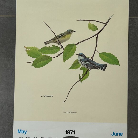 Vintage 1971 & 1972 Calendar Prints J.F. Lansdowne Birds - Picture 3 of 10